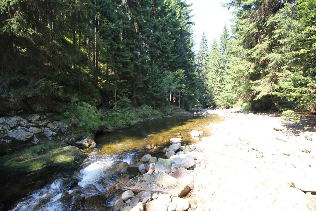 Chalet Schaefer Harrachov Εξωτερικό φωτογραφία